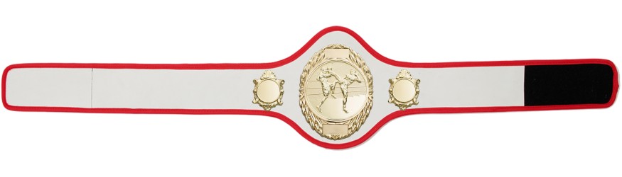 THAI BOXING CHAMPIONSHIP BELT-PRO286/G/TBOG-10+ COLOURS